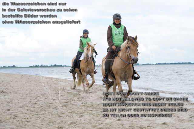 s_K3F05009.JPG